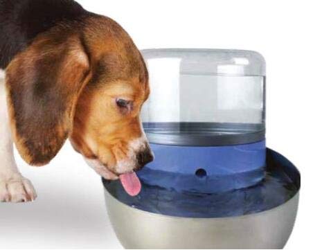 Filtre en T assure une eau plus sûre pour les animaux