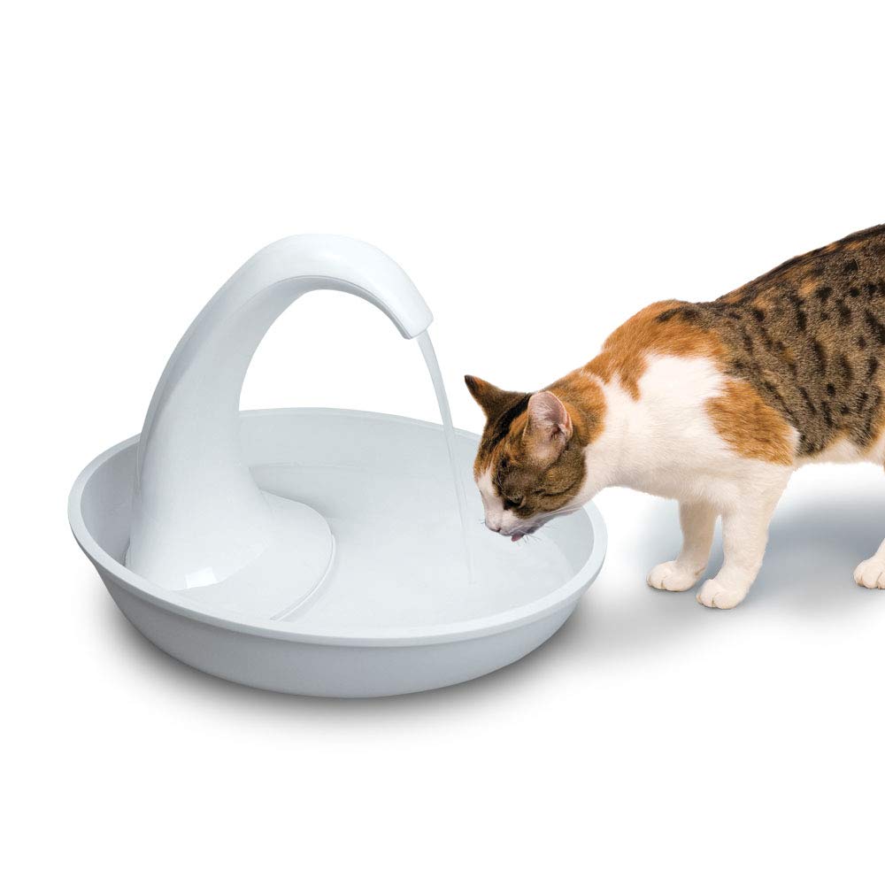 Capacité 80oz du Pioneer Pet Swan, idéale pour plusieurs animaux.