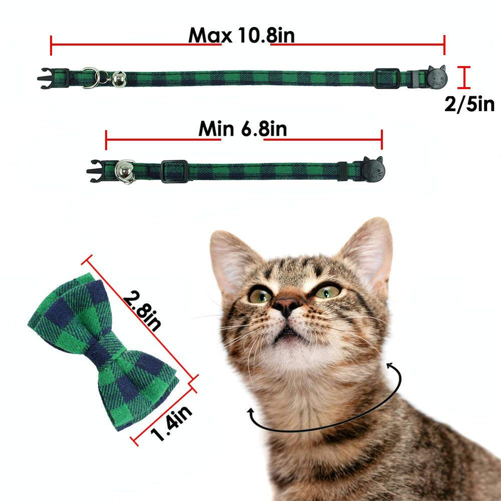 Utilisation quotidienne sûre avec collier Pipidog, sorties et jeux.
