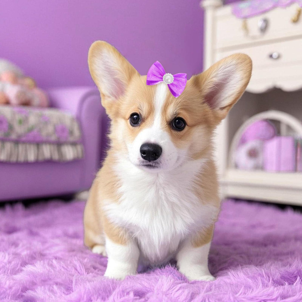 Pistha broches pour poil de chien rose dentelle paillettes, allure festive.