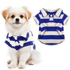 Chemise polo rayée Pistha bleu royal vue avant sur chien, confort estival assuré