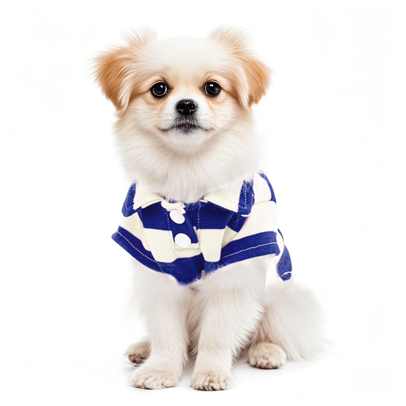 Chien portant polo rayé Pistha — parfait pour sorties quotidiennes.