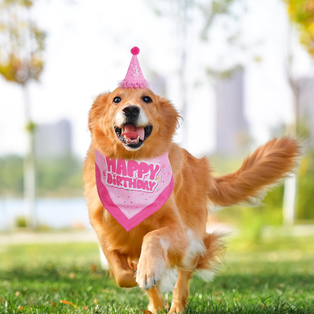 Pistha ensemble anniversaire chien rose, prêt pour les photos