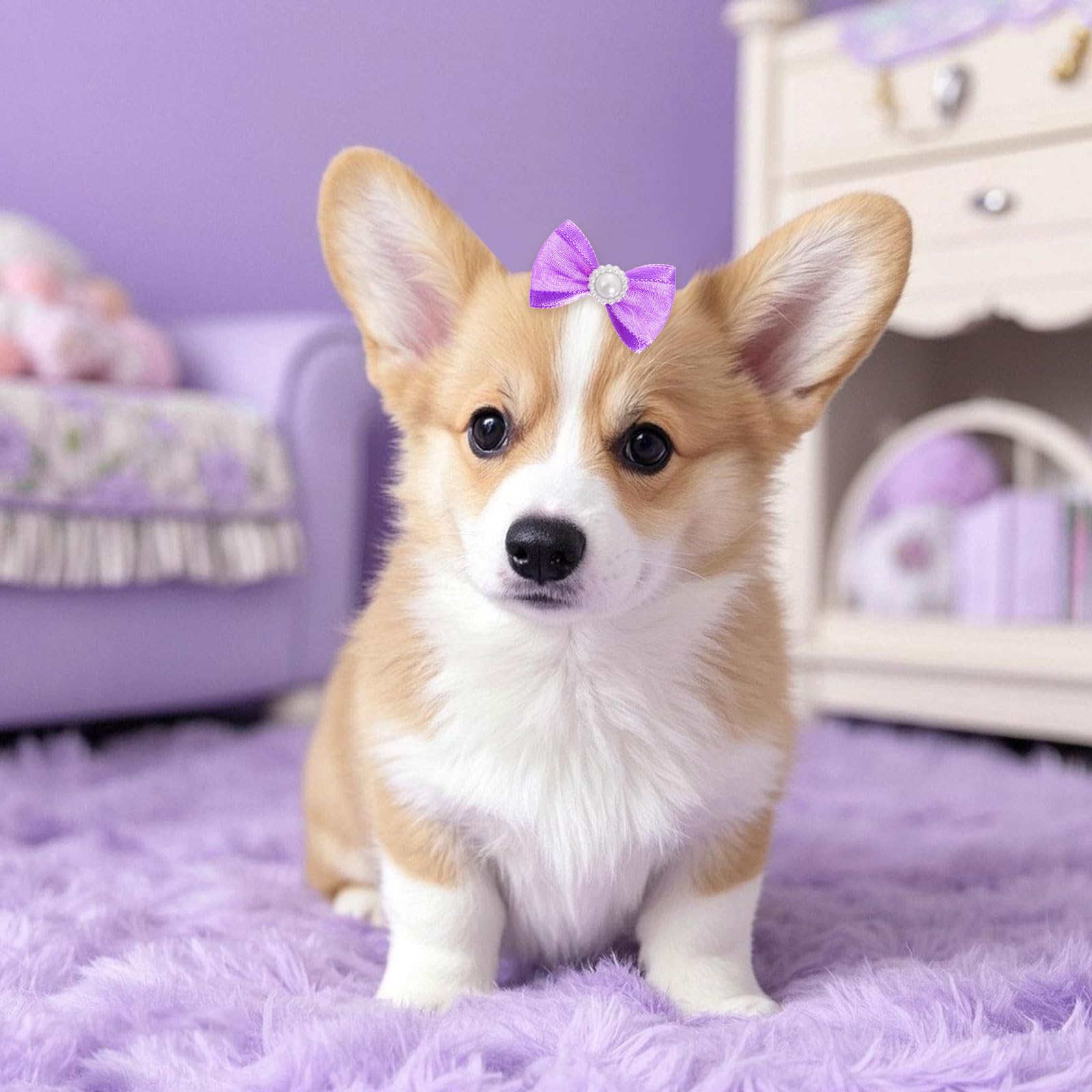 Pistha: nœud-cheveux-chien violet-dentelle-bling, look raffiné.