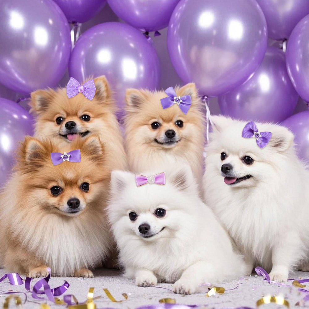 Pistha: nœud-cheveux-chien violet-mesh-perles, facile à attacher et durable.