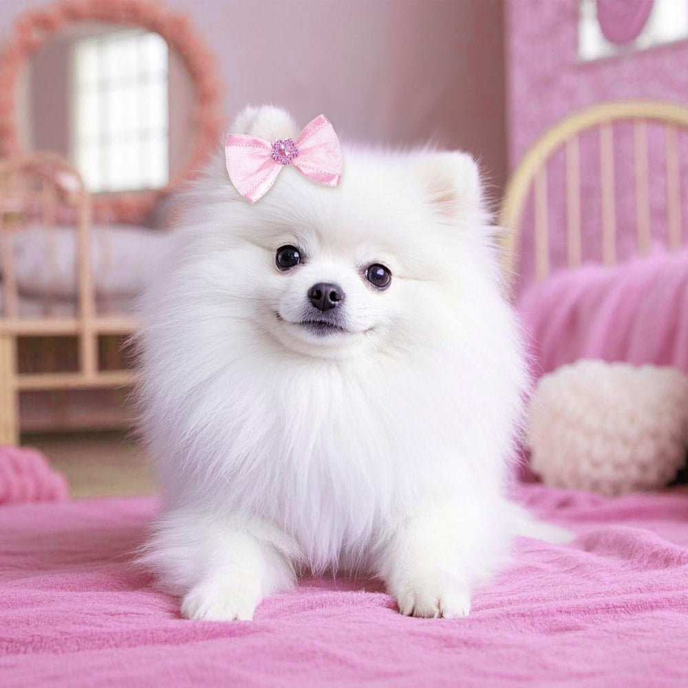 Pistha nœud poil chien rose elastique reste en place lors des jeux