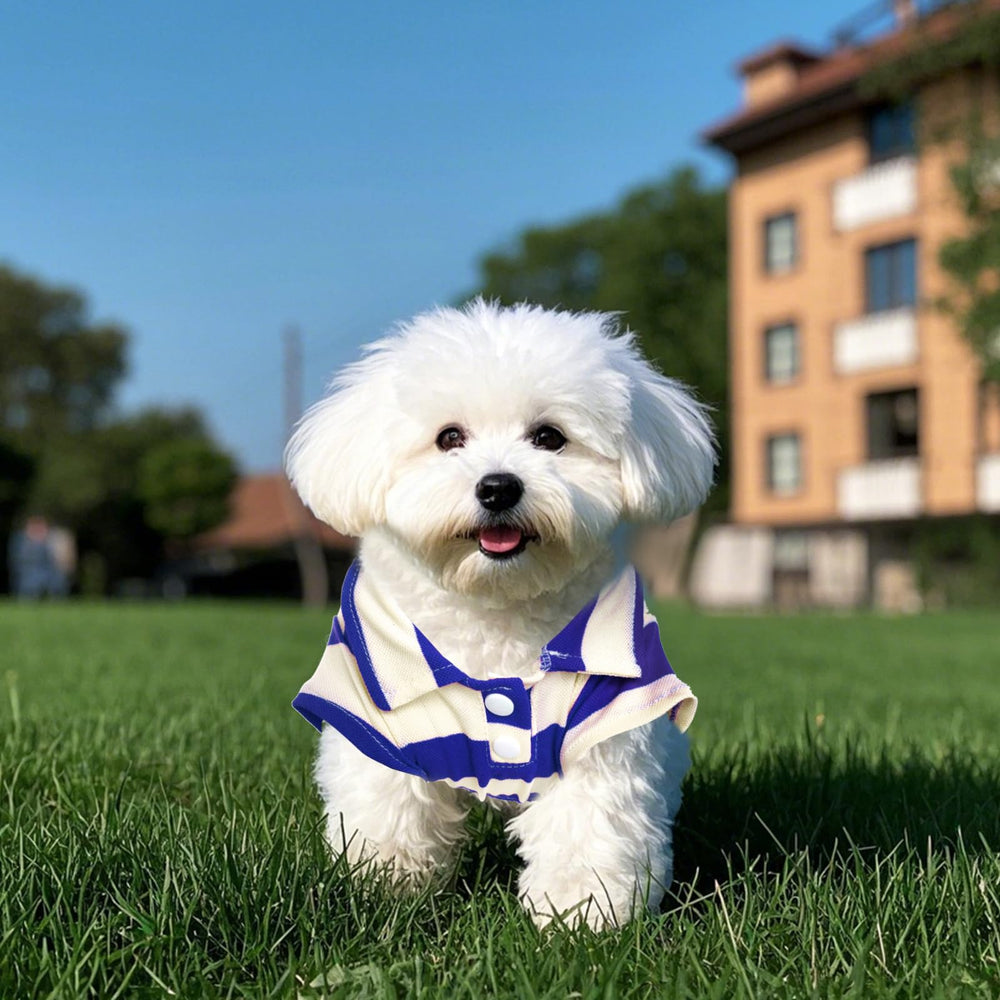 Polo Pistha pour chien rayé — idéal pour fêtes et moments estivaux.