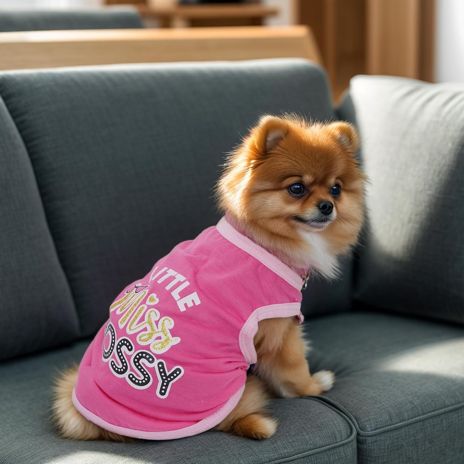 Pistha tshirt chien imprimé cœur gris, tissu doux et respirant.