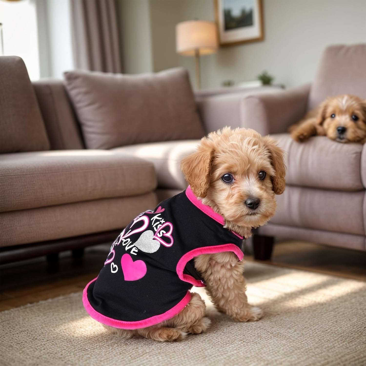 Pistha tshirt chien sans manches imprimé été noir, parfait pour les promenades.