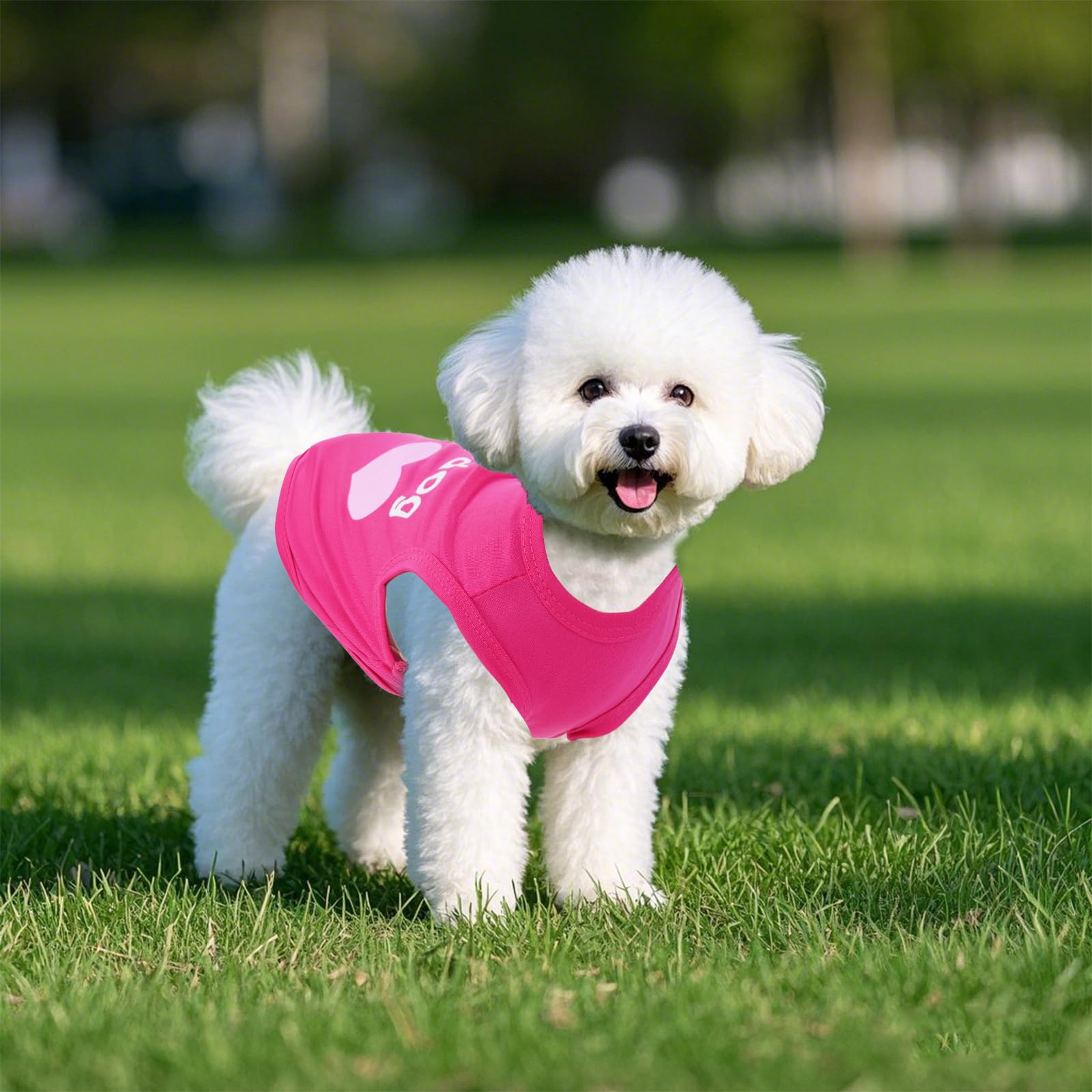 Pistha t-shirt sans manches pour chien bleu-gris—imprimé tendance et liberté de mouvement.