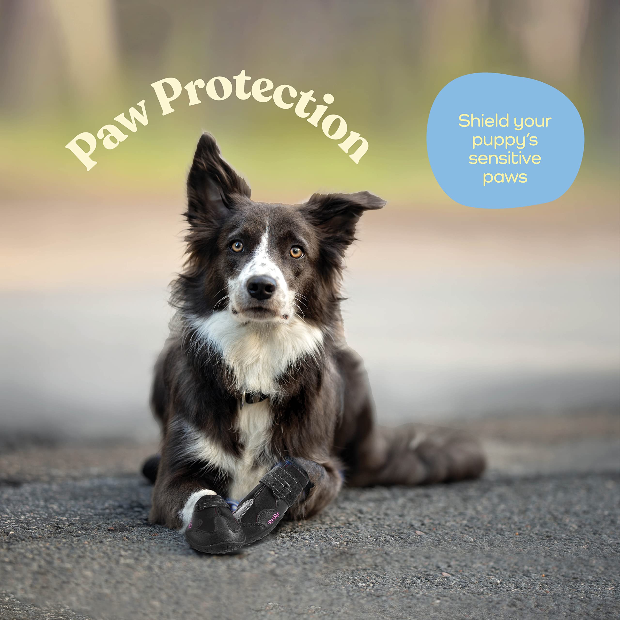 Les Pitpet bottes chien antiderapantes-base offrent une adhérence renforcée lors des promenades.