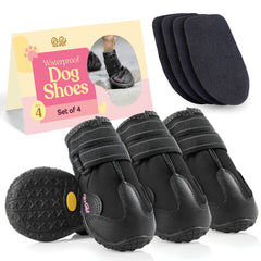 Bottes Pitpet étanches pour chien protègent les pattes sur surfaces mouillées.