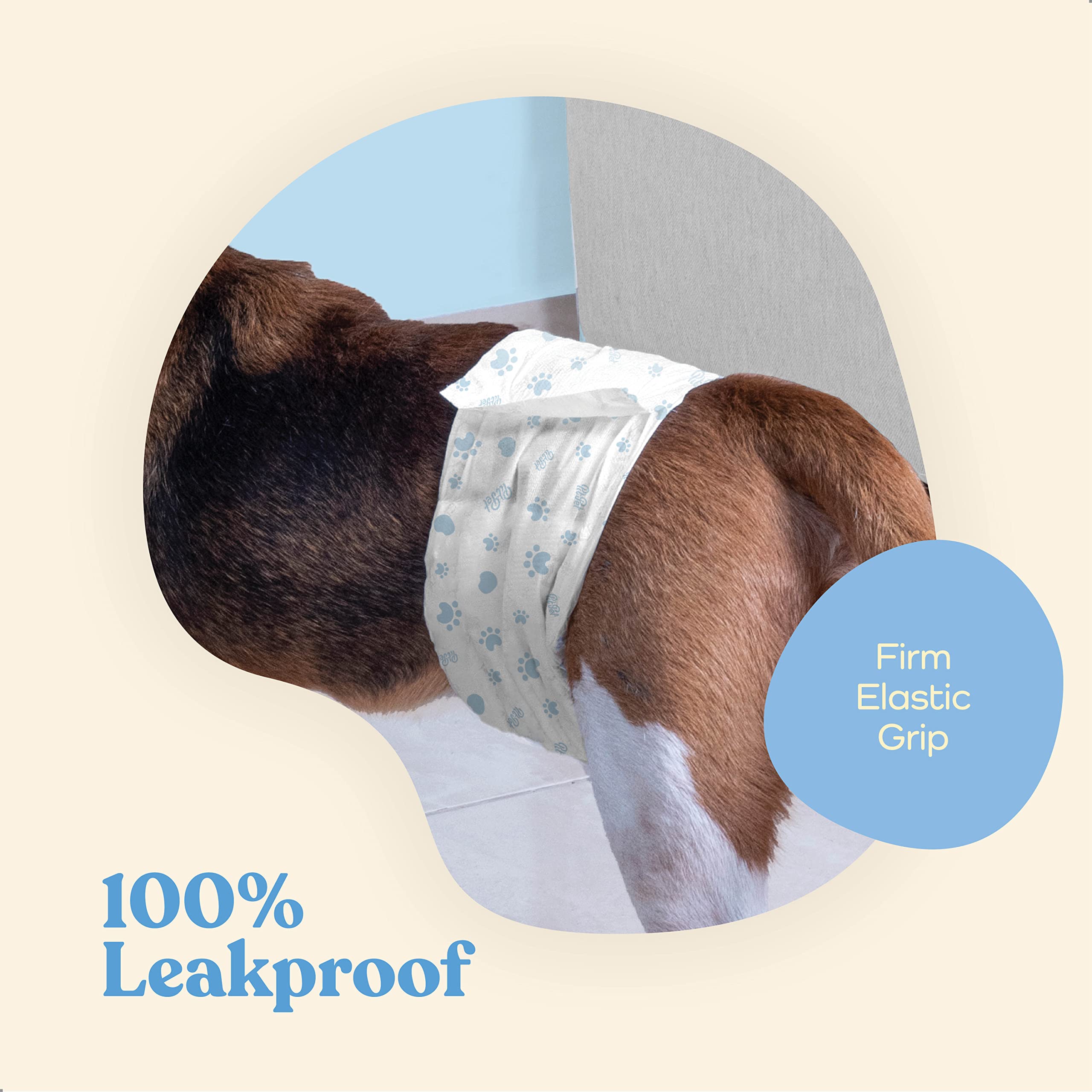 PitPet couche respirante pour chien confortable pendant les promenades.