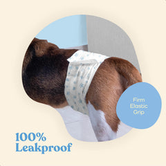 PitPet couche respirante pour chien confortable pendant les promenades.