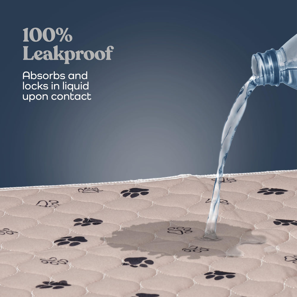 Pitpet tapis base gel antiderapante, sécurité renforcée lors des activités.