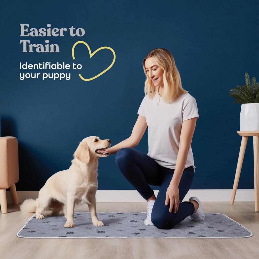 Pitpet tapis Flash Dry, séchage rapide pour éviter les odeurs et débordements.