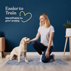 Pitpet tapis Flash Dry, séchage rapide pour éviter les odeurs et débordements.