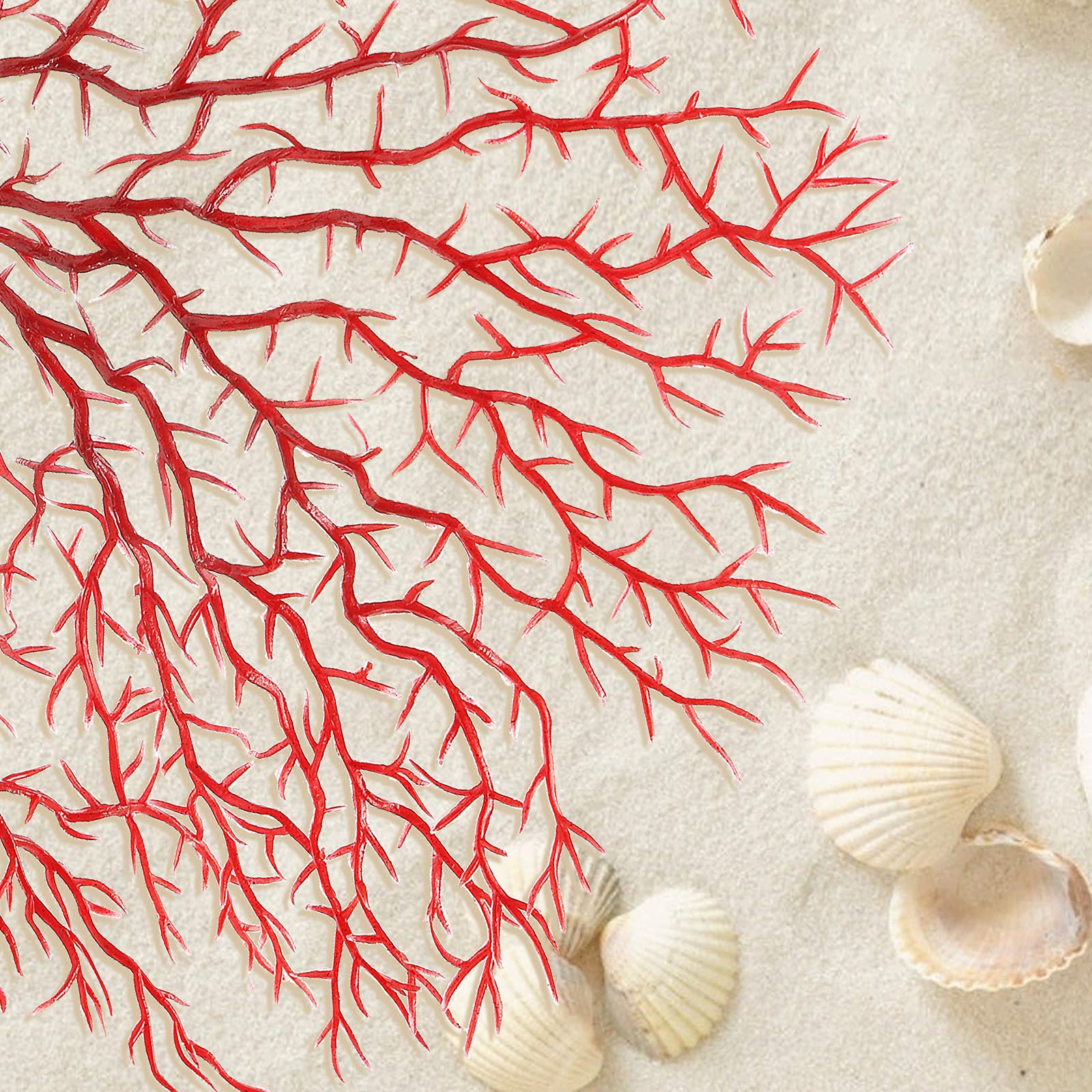 Piutouyar corail-eventail rouge grand, apporte couleur et profondeur à l’aquarium