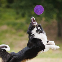 PJDH balle flottante idéale pour jeux en piscine et jardin.