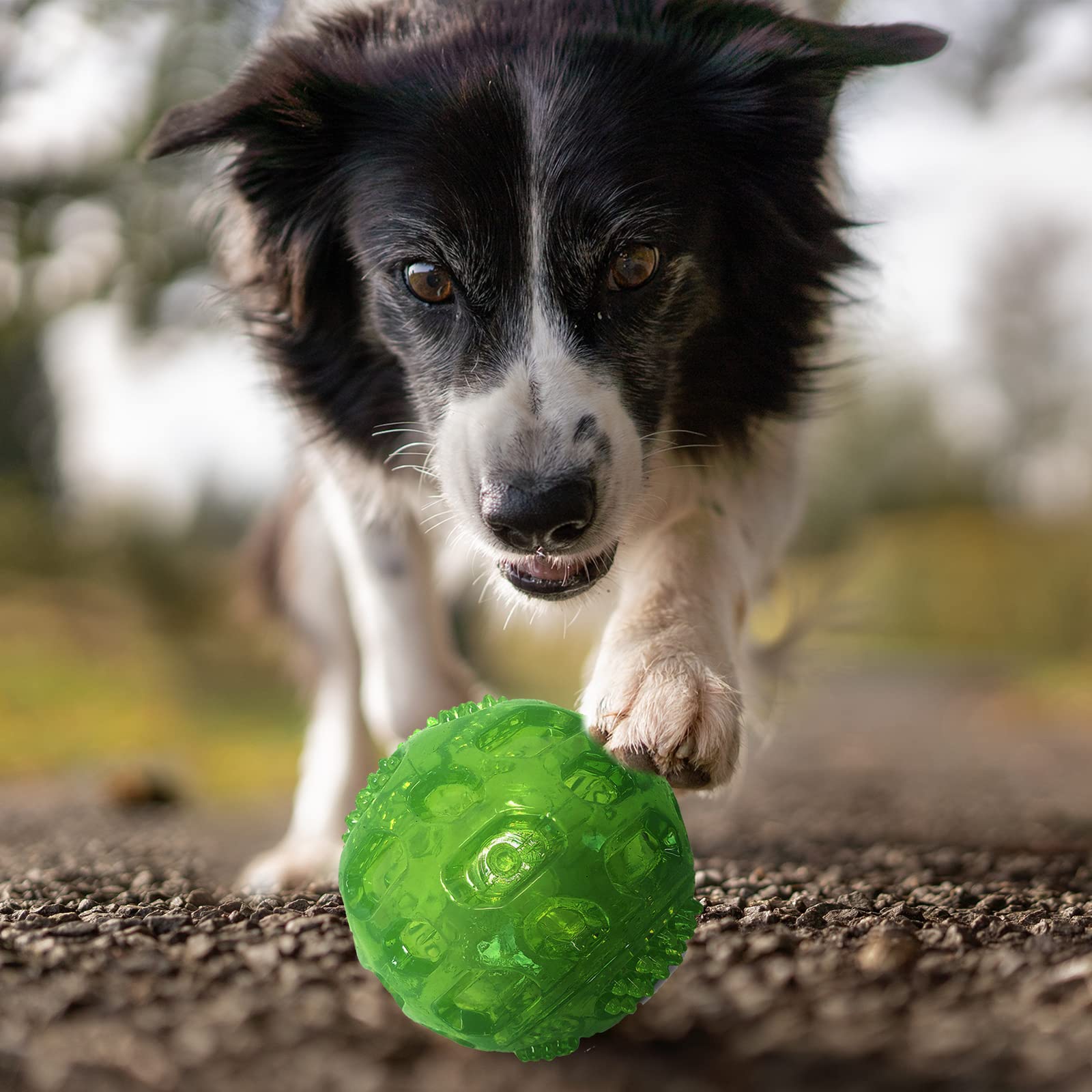 PJDH jouet interactif pour chiens moyens et grands, récupération facile.