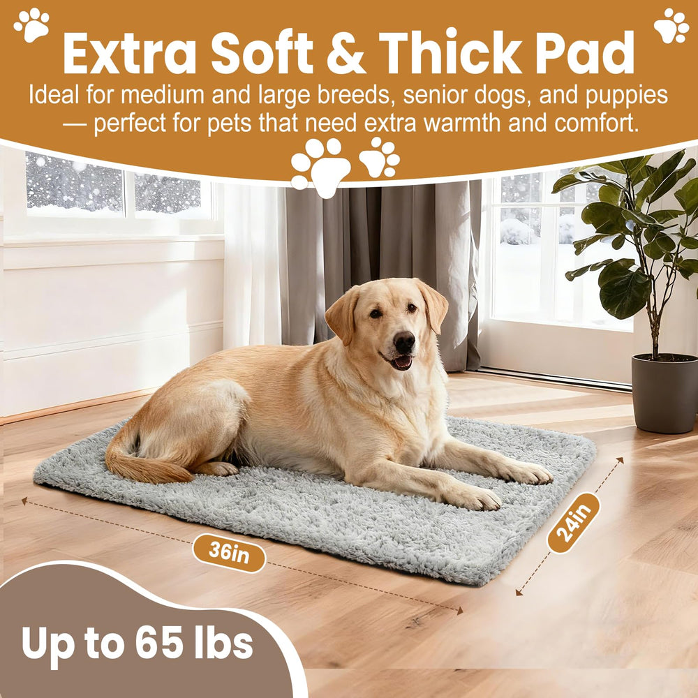 Tapis-chauffant-chien-36x24 PJT, parfait sur sols froids pour chiens moyens et grands.