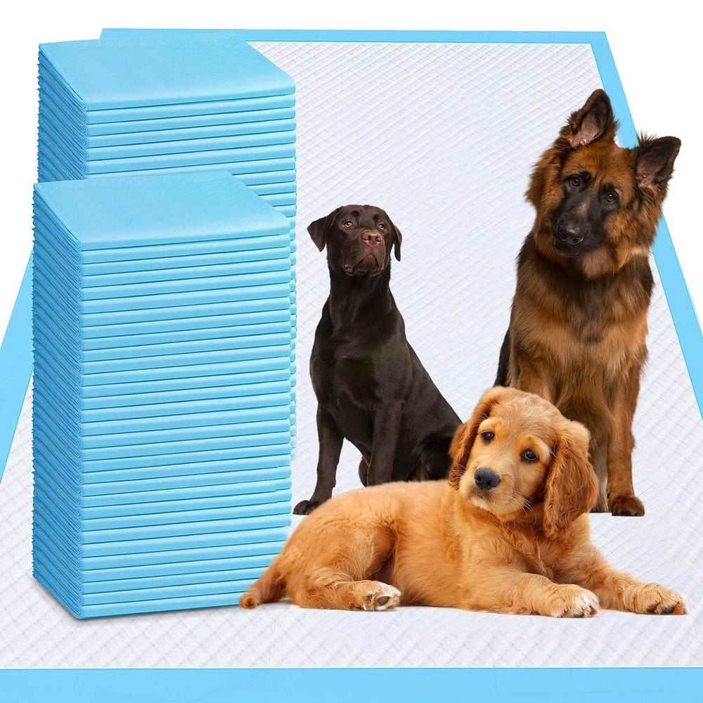 PJYRTOQ Tapis absorbant XL 36x36, absorption maximale pour sols propres.