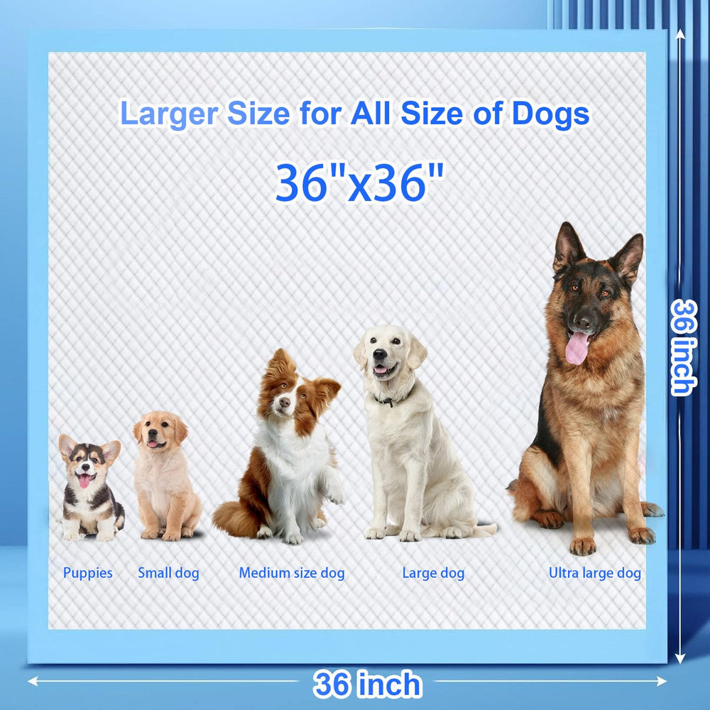 PJYRTOQ Tapis idéal pour chiens et chats, entretien simple.