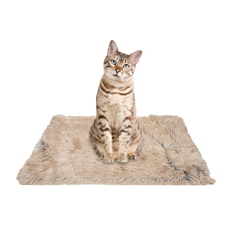 PJYuCien - Couverture chat gris 60x80, grande surface confortable pour repos.