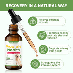 PKperekond baie Saw Palmetto — soutien naturel des fonctions prostatiques pour chien.