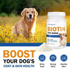 PKperekond Biotine pour chien – ongles renforcés et pattes protégées.
