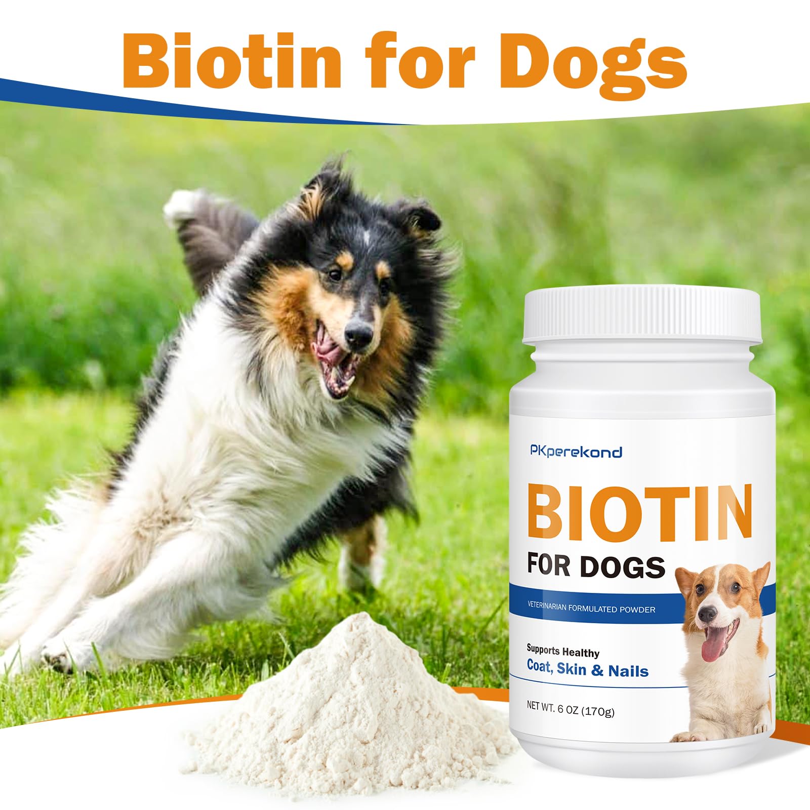 PKperekond Biotine pour chien – adapté aux chiens seniors actifs.