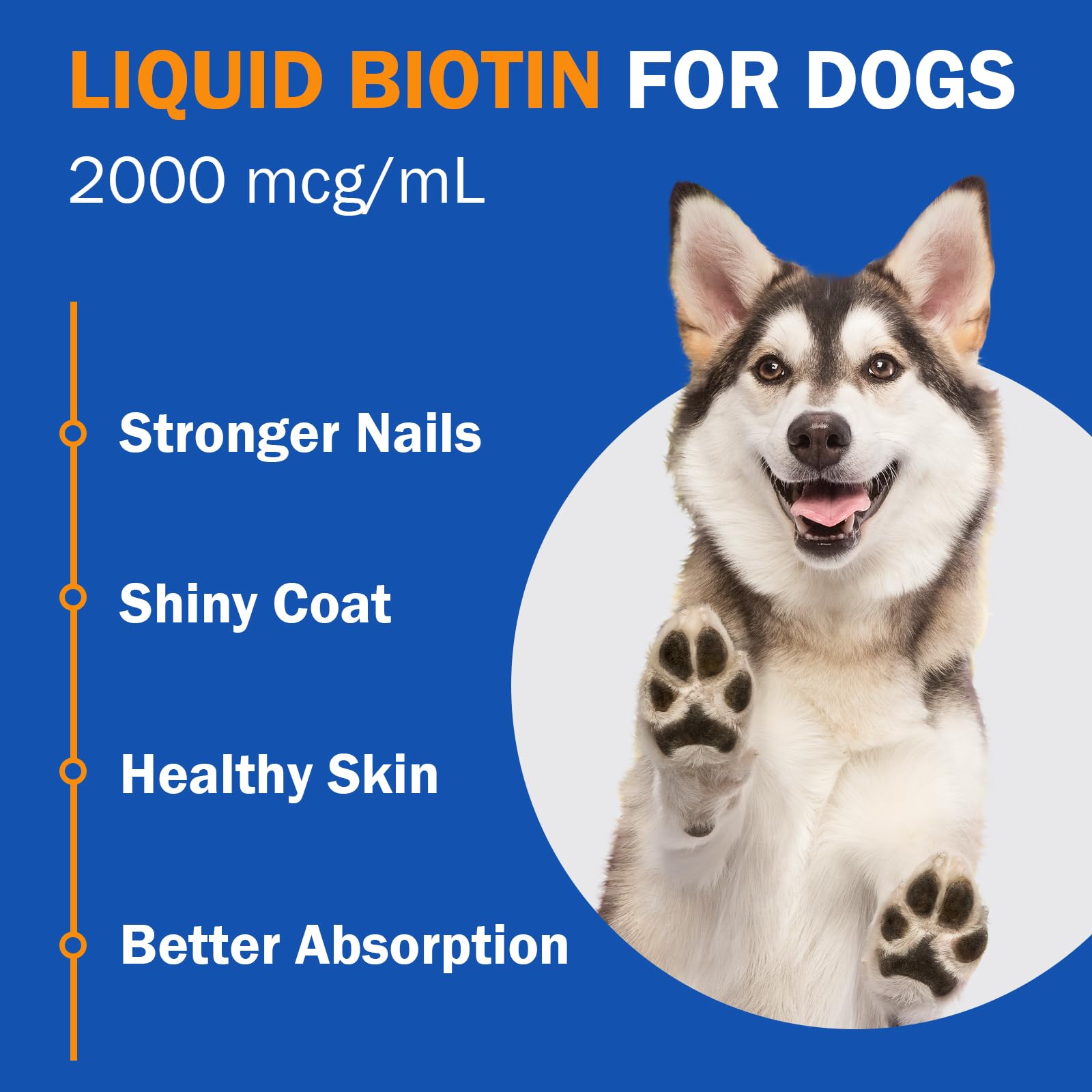 PKperekond biotine liquide, ongles plus forts pour les jeux quotidiens du chien.
