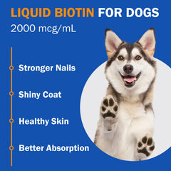 PKperekond biotine liquide, ongles plus forts pour les jeux quotidiens du chien.