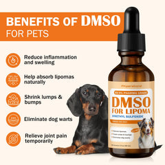 PKperekond DMSO – inflammation chien : réduction du gonflement.