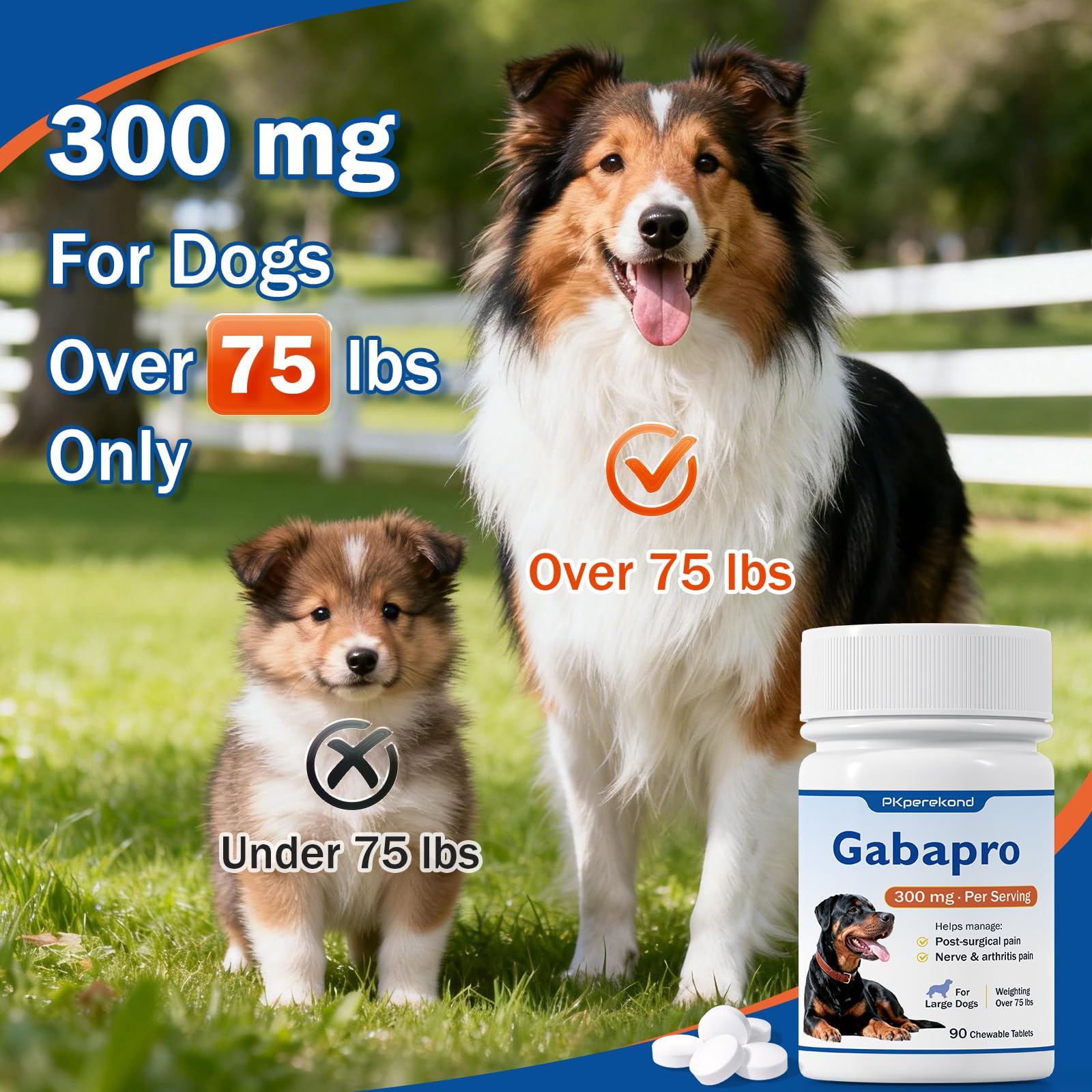 PKperekond Gabapro – période de rééducation post-chirurgie.