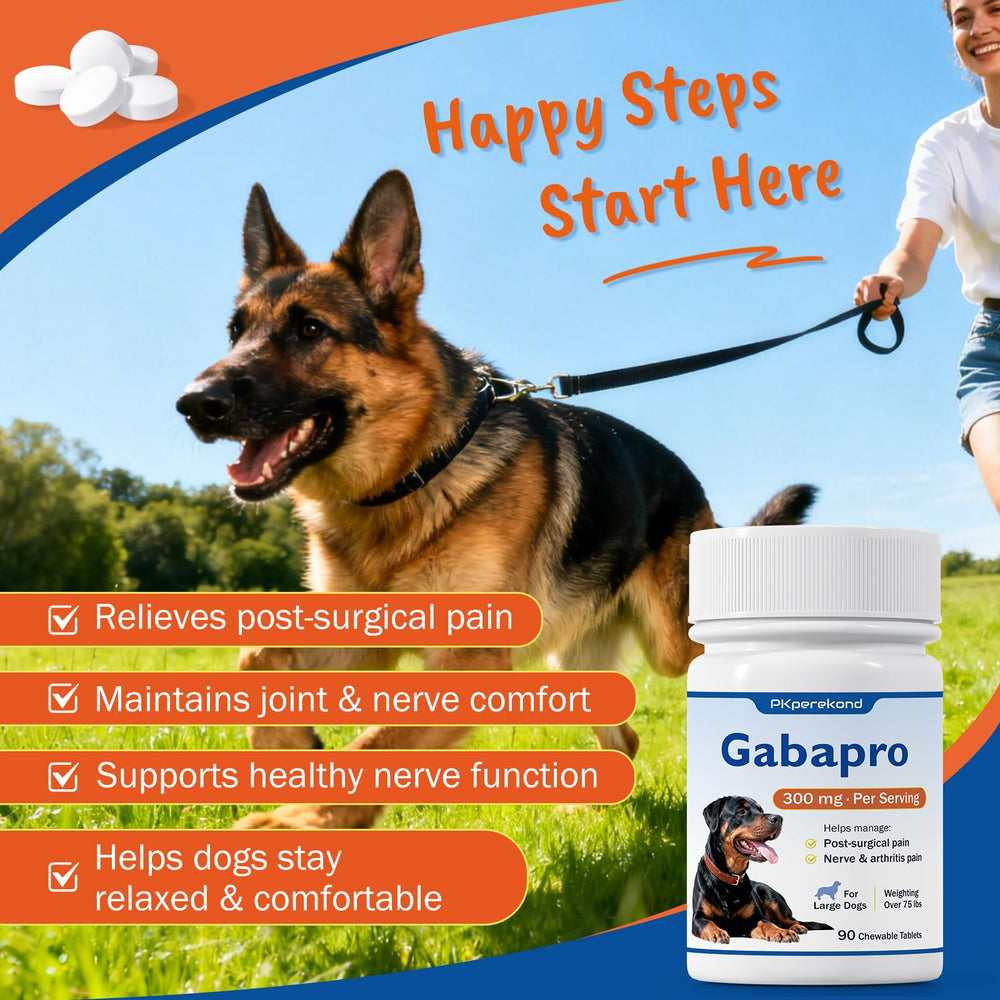 PKperekond Gabapro – relief post-chirurgie pour chien, confort rapide.
