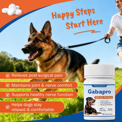 PKperekond Gabapro – relief post-chirurgie pour chien, confort rapide.