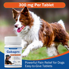 PKperekond Gabapro – soutien articulations quotidien pour chien grand.