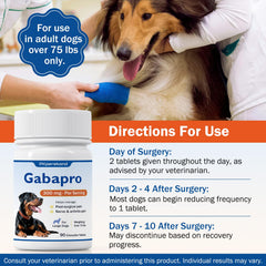 PKperekond Gabapro – utilisation orale pour chiens de plus de 75 livres.