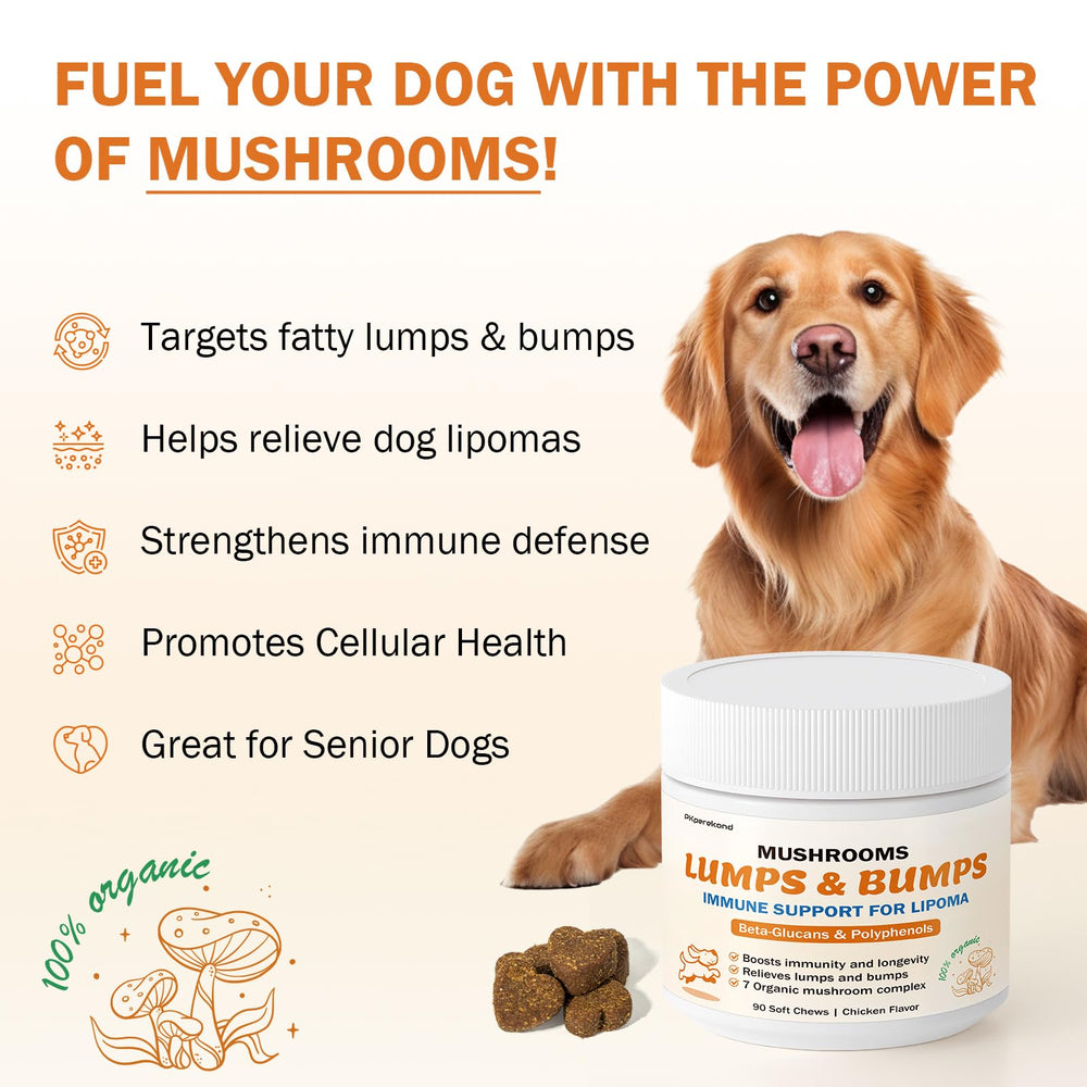 PKperekond gommes champignons queue de dinde chien prêt à croquer