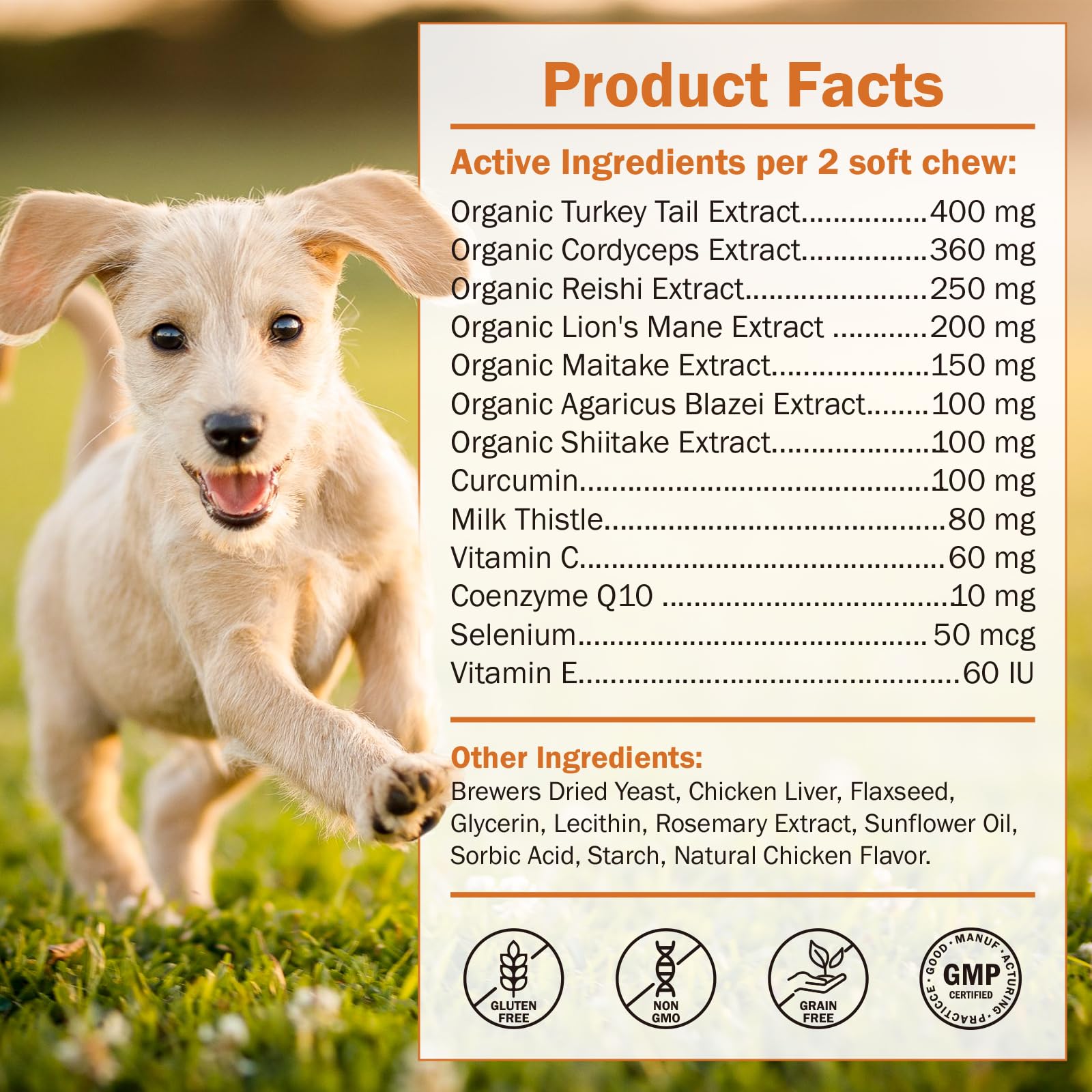 PKperekond gommes champignons saveur poulet chien consommé facilement