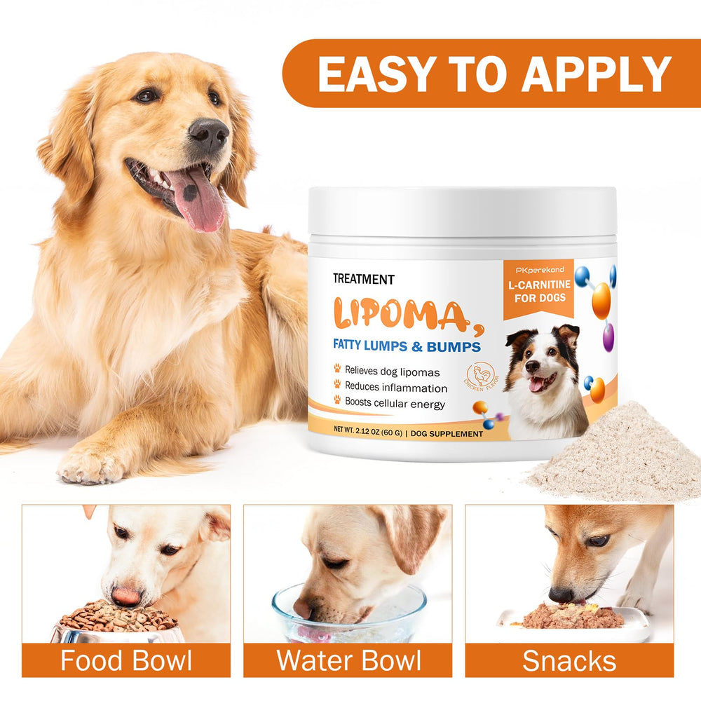 PKperekond énergie quotidienne: vitalité et activité canine