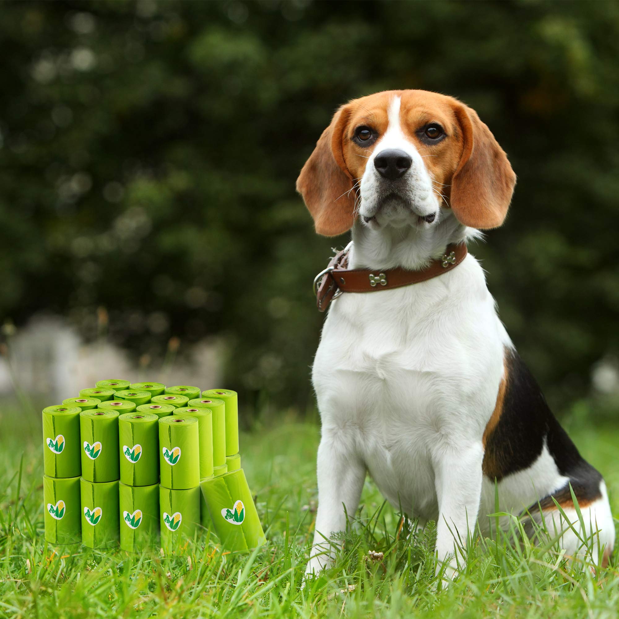 Pkpoo utilisation multi-usage, pratique pour déchets canins et autres tâches.