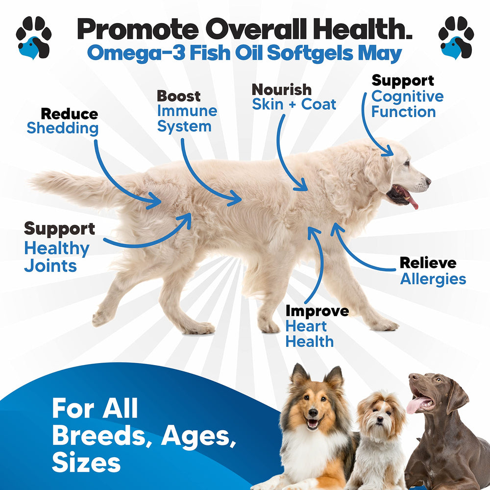 Planopaws capsules molles poisson chien – administration facile et sans effort.