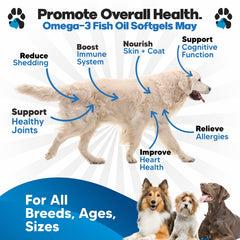 Planopaws capsules molles poisson chien – administration facile et sans effort.