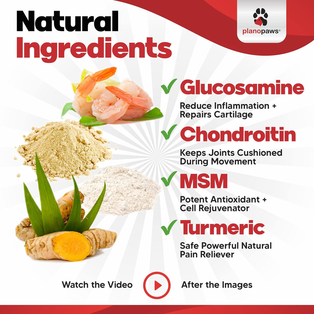 Planopaws curcuma biologique – antioxydant naturel pour le bien-être