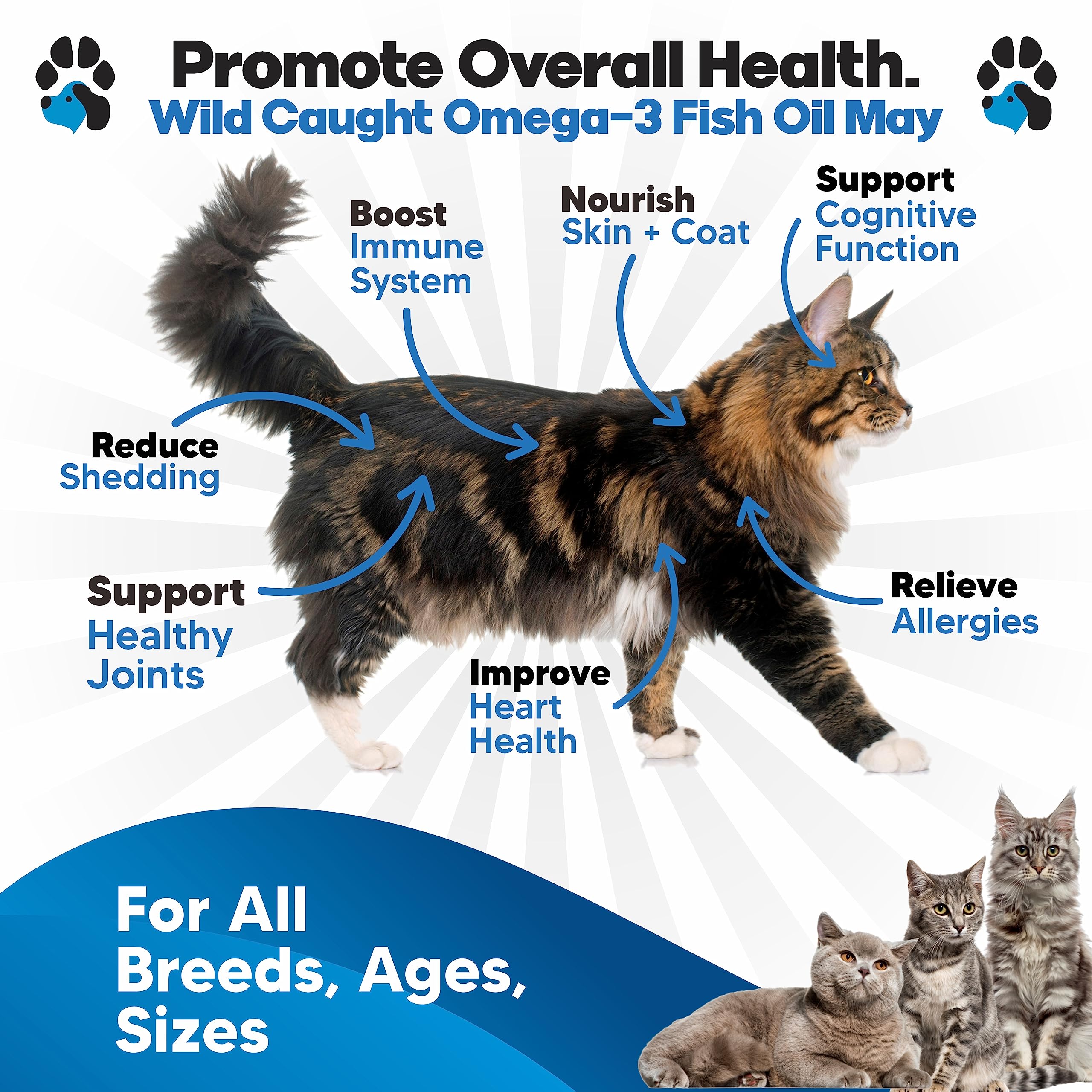 Planopaws doseur-huile-poisson-chat – dosage précis pour l’alimentation quotidienne.
