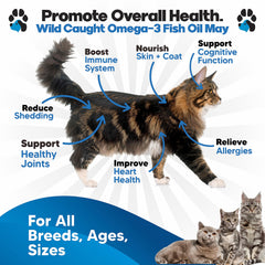 Planopaws doseur-huile-poisson-chat – dosage précis pour l’alimentation quotidienne.