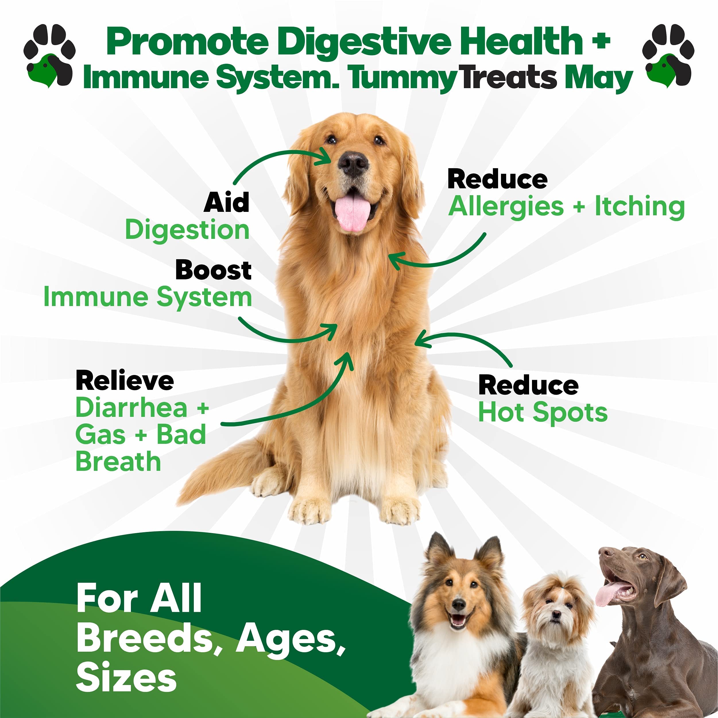Planopaws Probiotiques Chiot – aide potentielle à l'équilibre intestinal et à l'immunité.