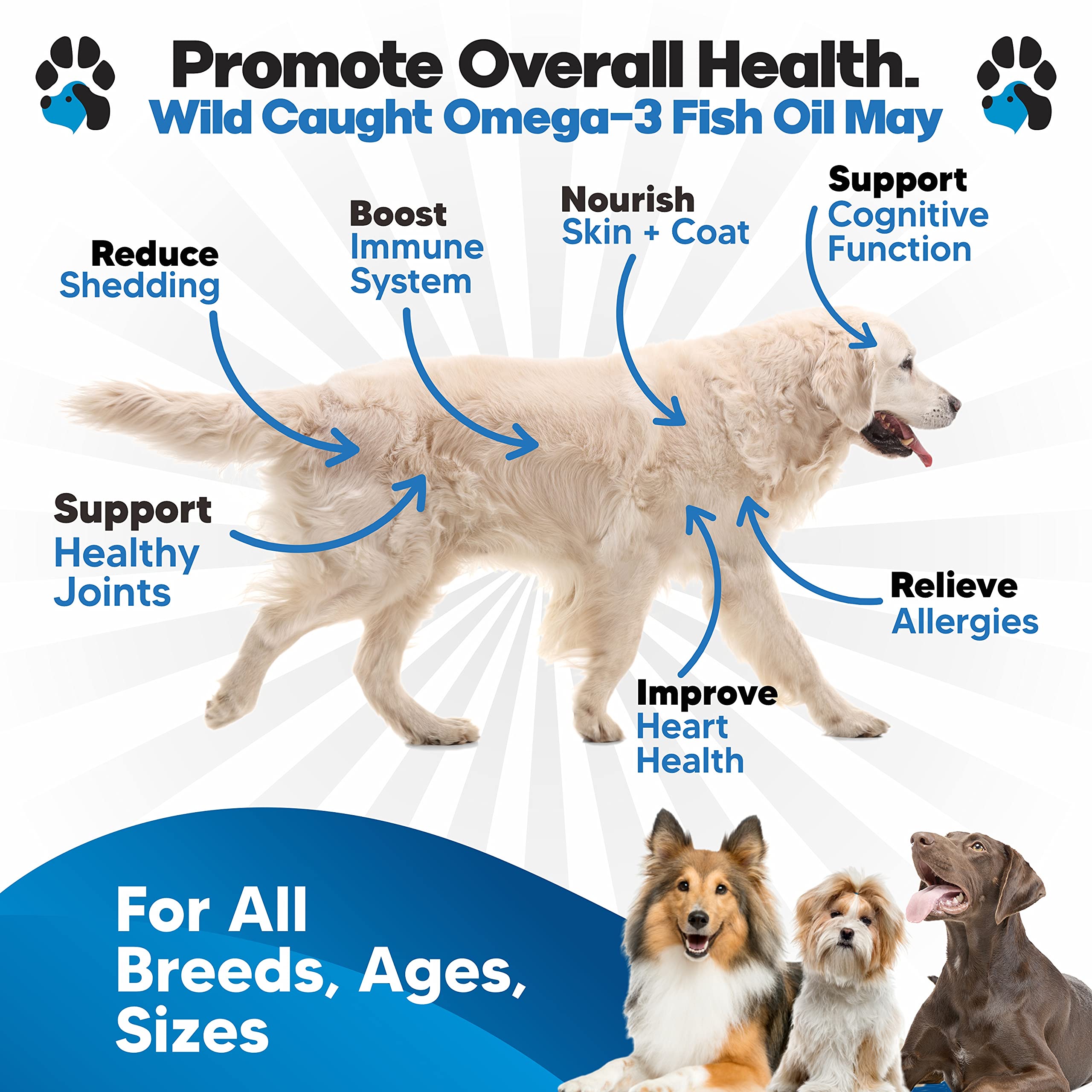 Plano Paws – gouttes précises pour chiens, administration facile.